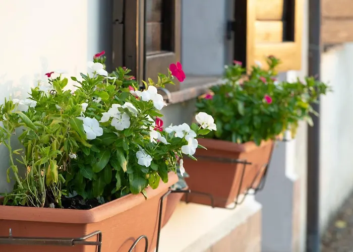 La Casa di Smilla - (Bevagna)